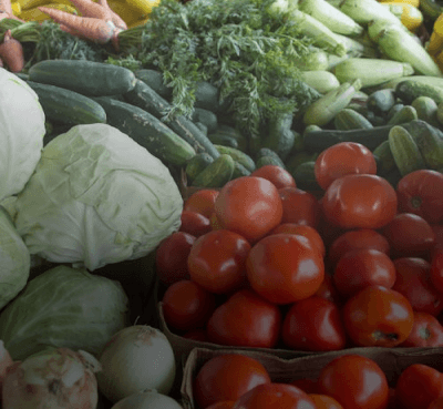 Agro-alimentaire